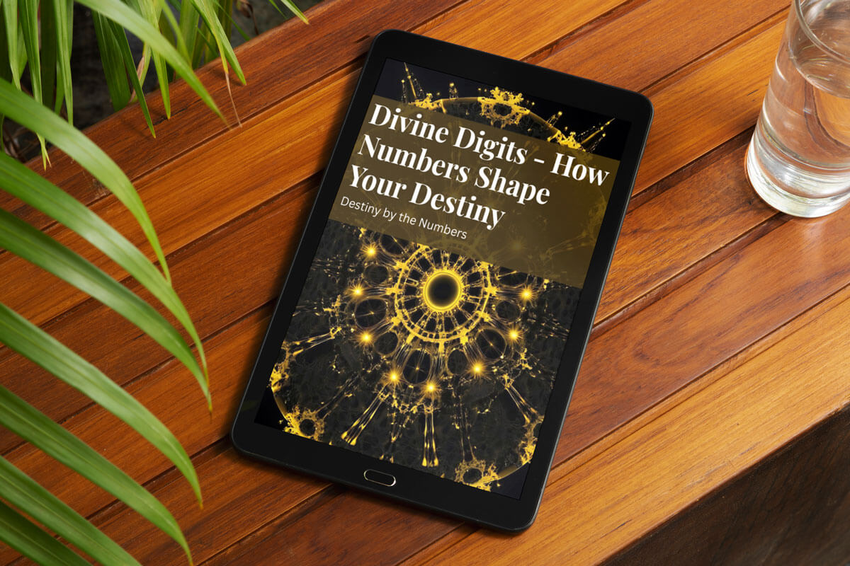 Divine Digits Book